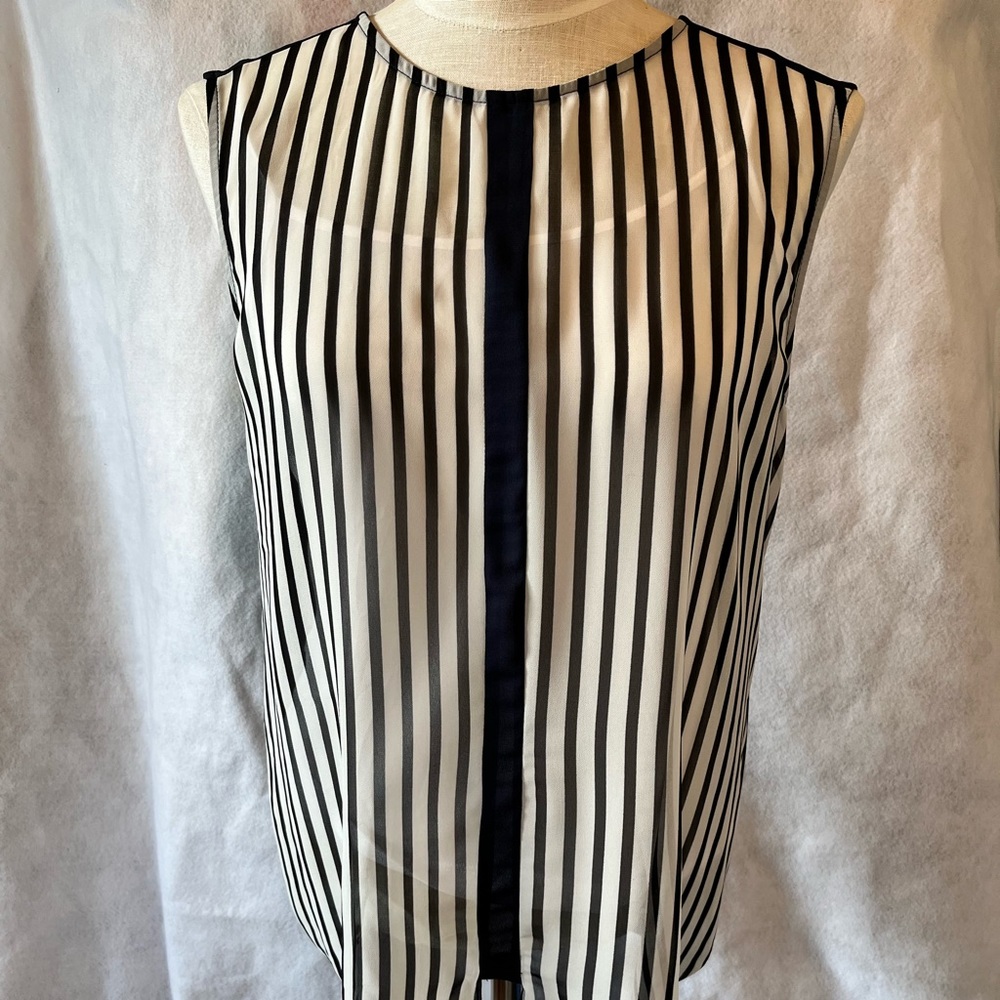 Sheer Sleeveless Top